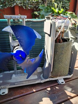 EL PATRÓN DEL FRÍO 