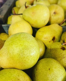 PRODUCTOS AIDA SUR Peras