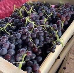 PRODUCTOS AIDA SUR Uvas