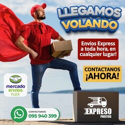EXPRESO POCITOS 