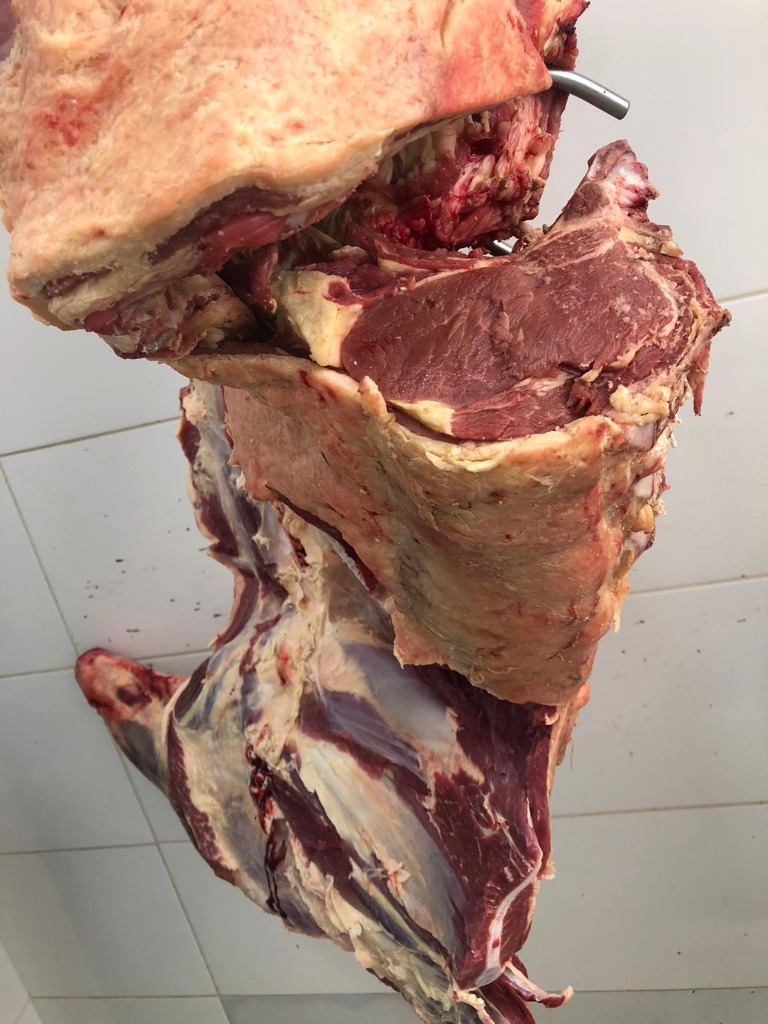 MERCADO DE CARNES DEL CAMPO  