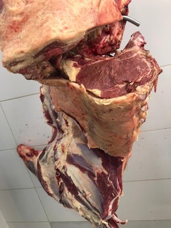 MERCADO DE CARNES DEL CAMPO 