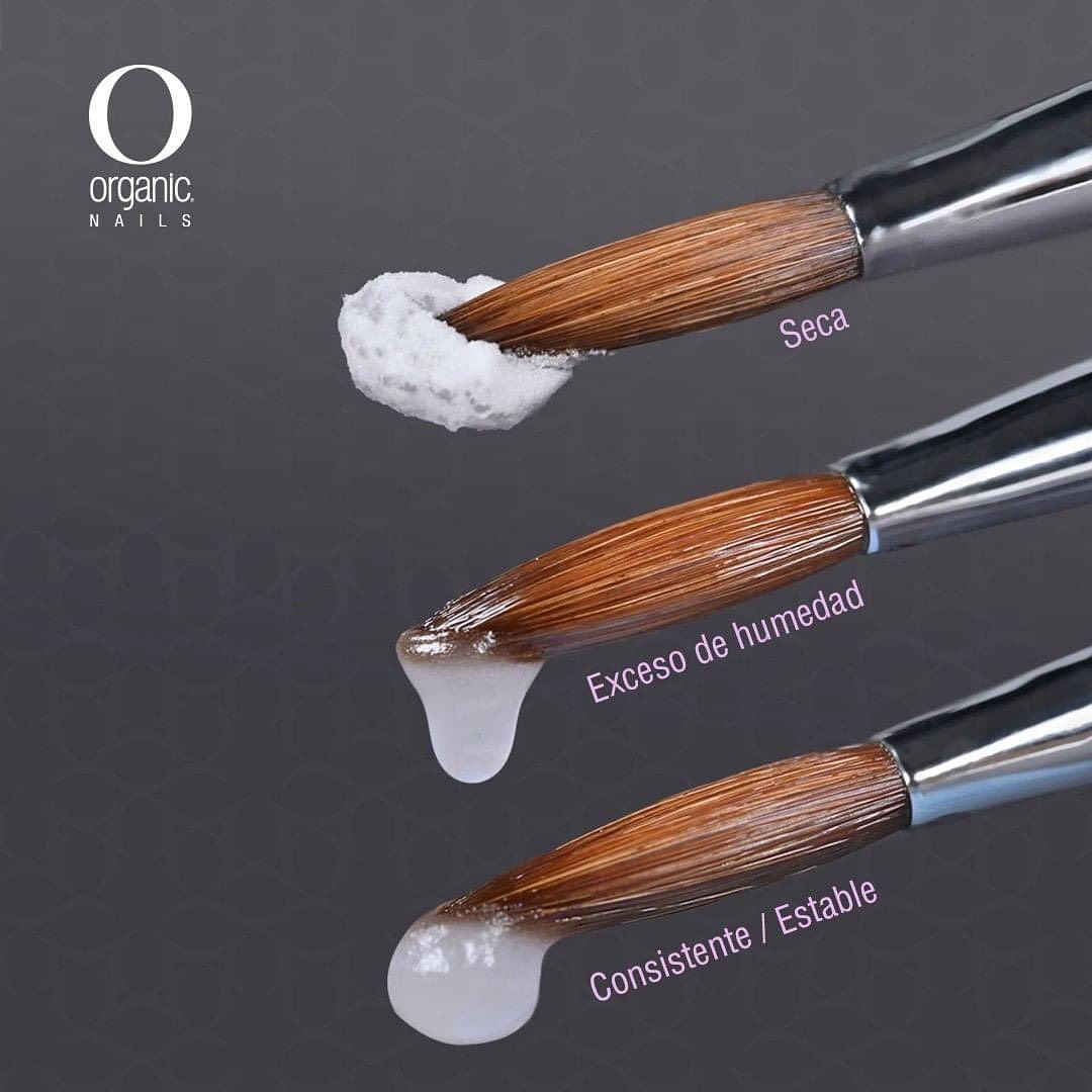 Organic Nails San Jose  