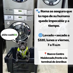 Lavamar Lavadero Express 