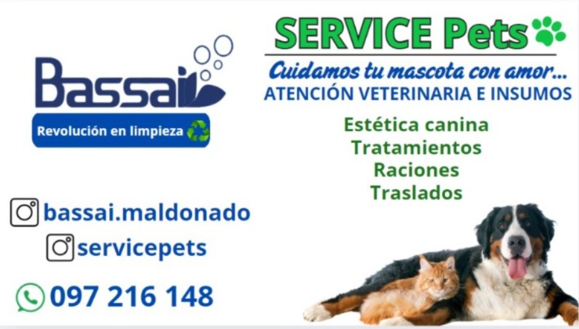 SERVICE PETS  