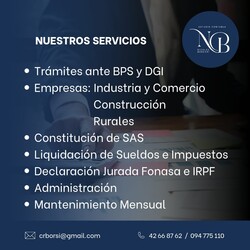 ESTUDIO CONTABLE NICOLAS BORSIERI 