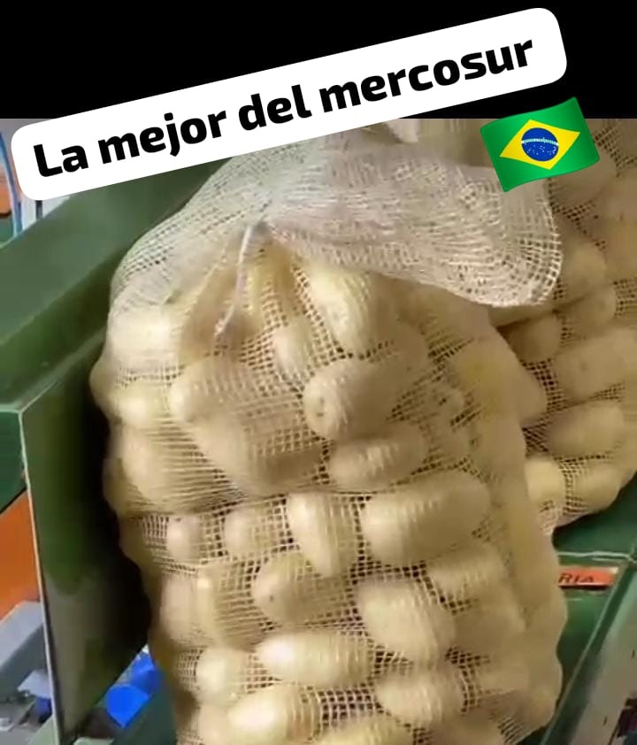 DISTRIBUIDORA DICKINSON  