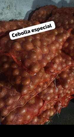 DISTRIBUIDORA DICKINSON 