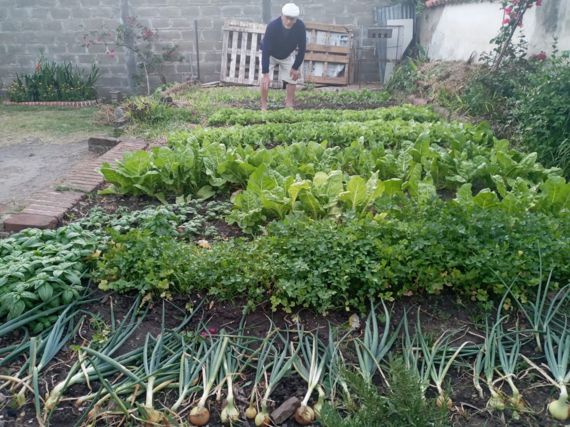 RESIDENCIAL LOS ABUELITOS  