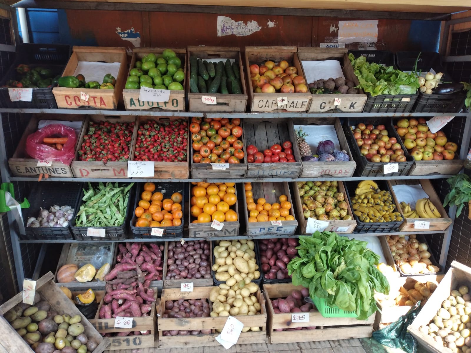 AUTOSERVICE EL QUINCHO  