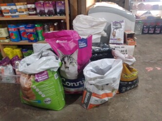 AUTOSERVICE EL QUINCHO 