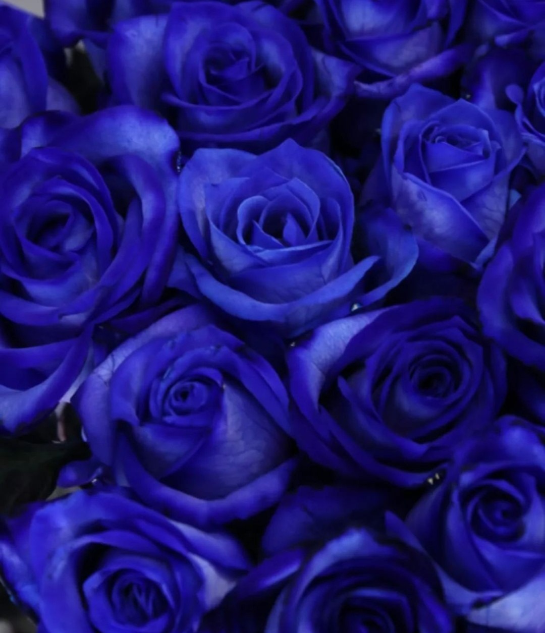 FLORERIA IMPERIO NARA  