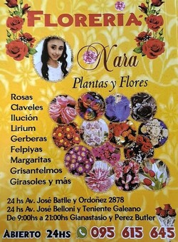 FLORERIA IMPERIO NARA 
