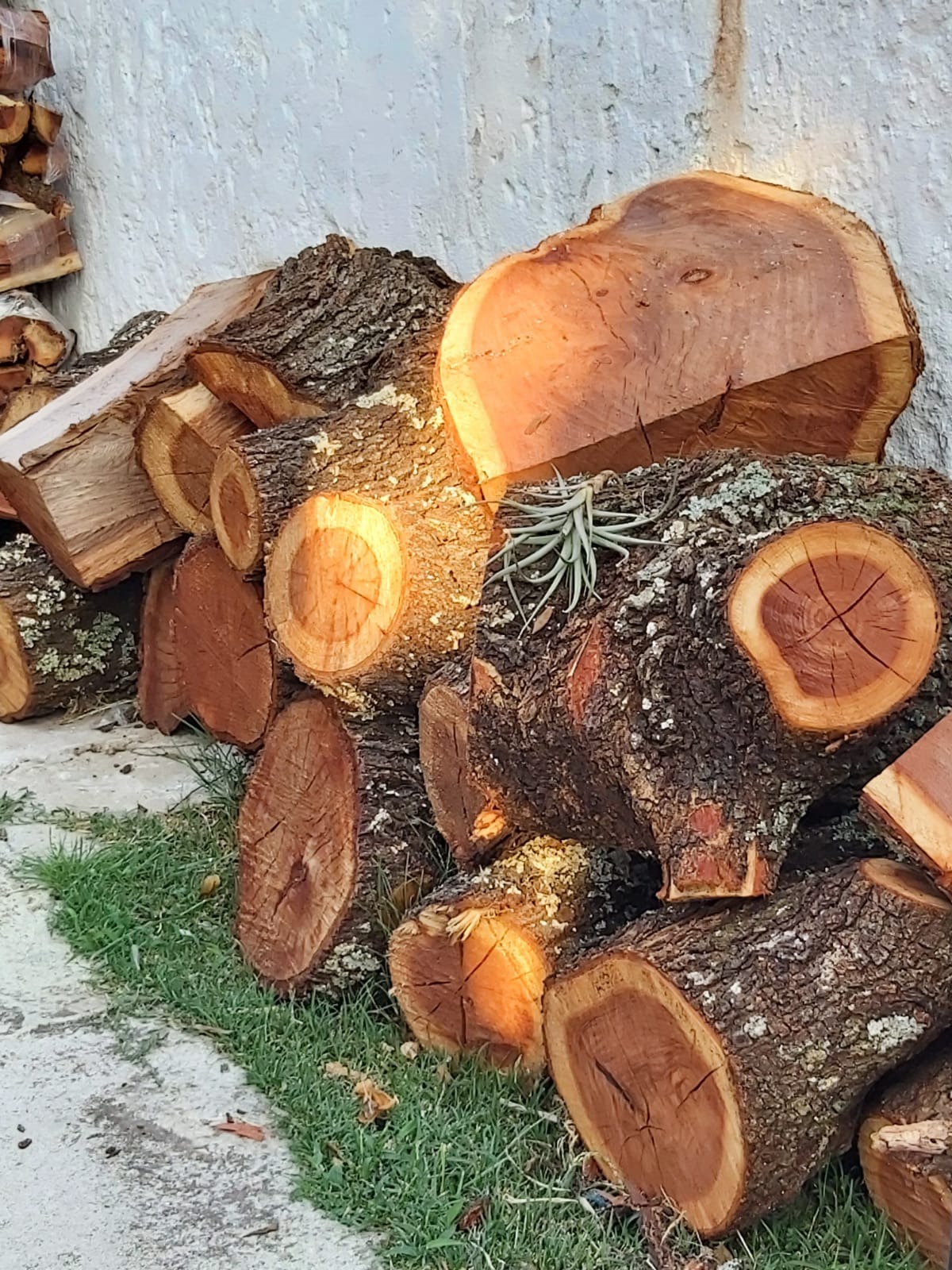 EL BALTA BARRACA DE LEÑA  