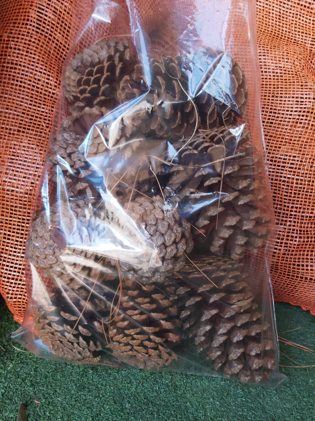 EL BALTA BARRACA DE LEÑA  