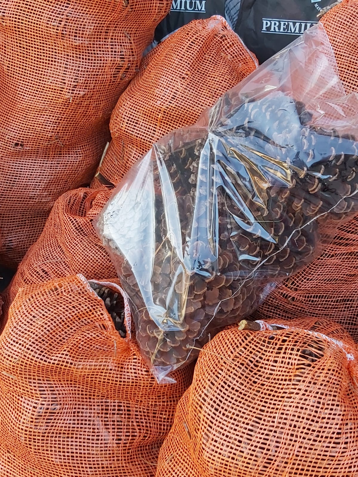 EL BALTA BARRACA DE LEÑA  