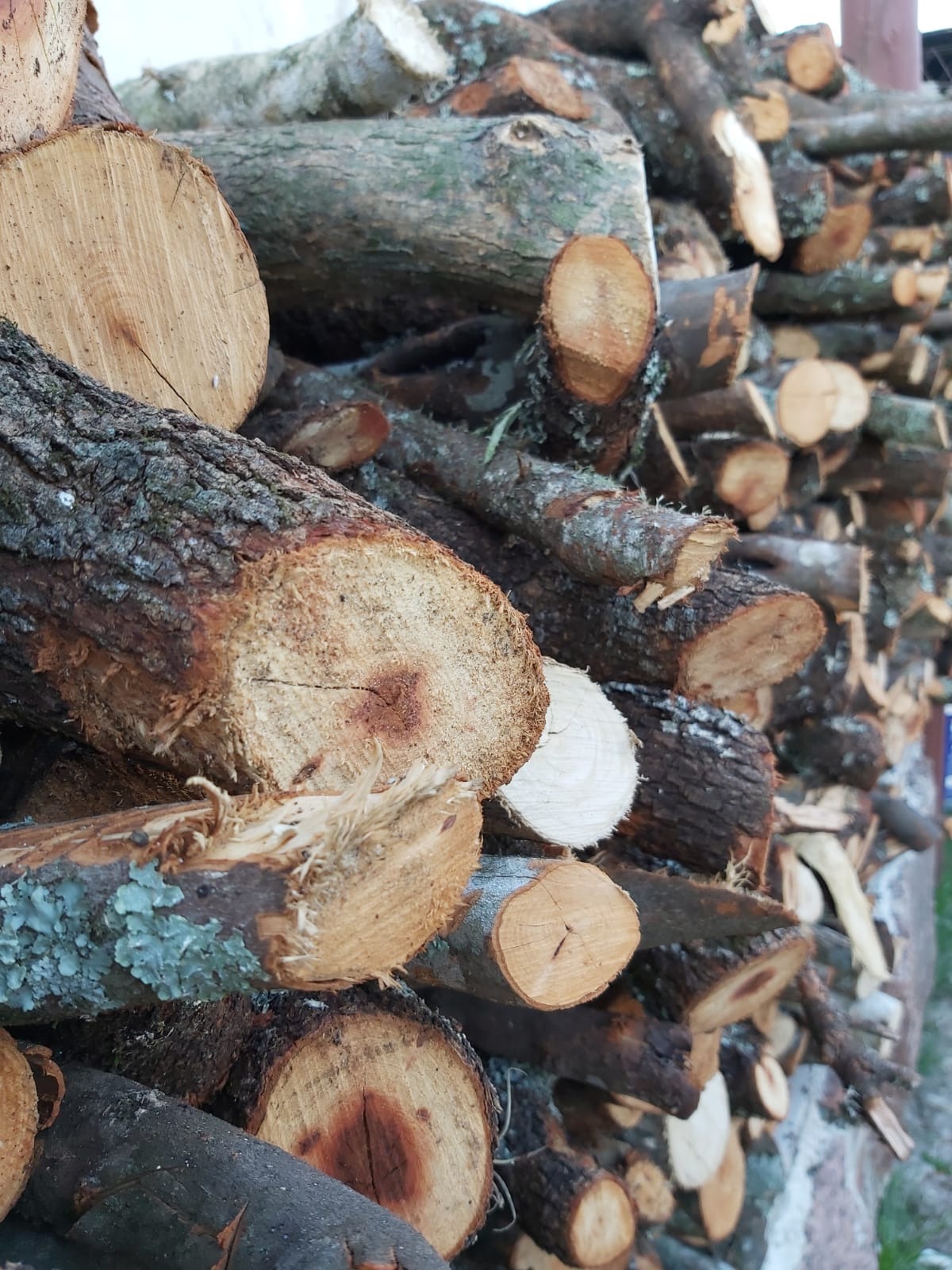 EL BALTA BARRACA DE LEÑA  