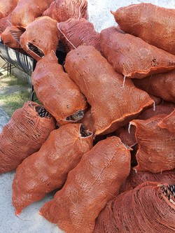 EL BALTA BARRACA DE LEÑA 