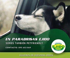 PARABRISAS EJIDO TU MASCOTA ES BIENVENIDA