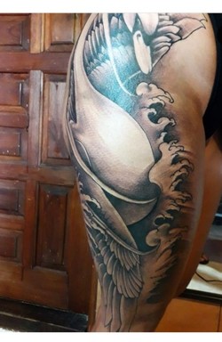 TATTOO'S GRIFFIN 