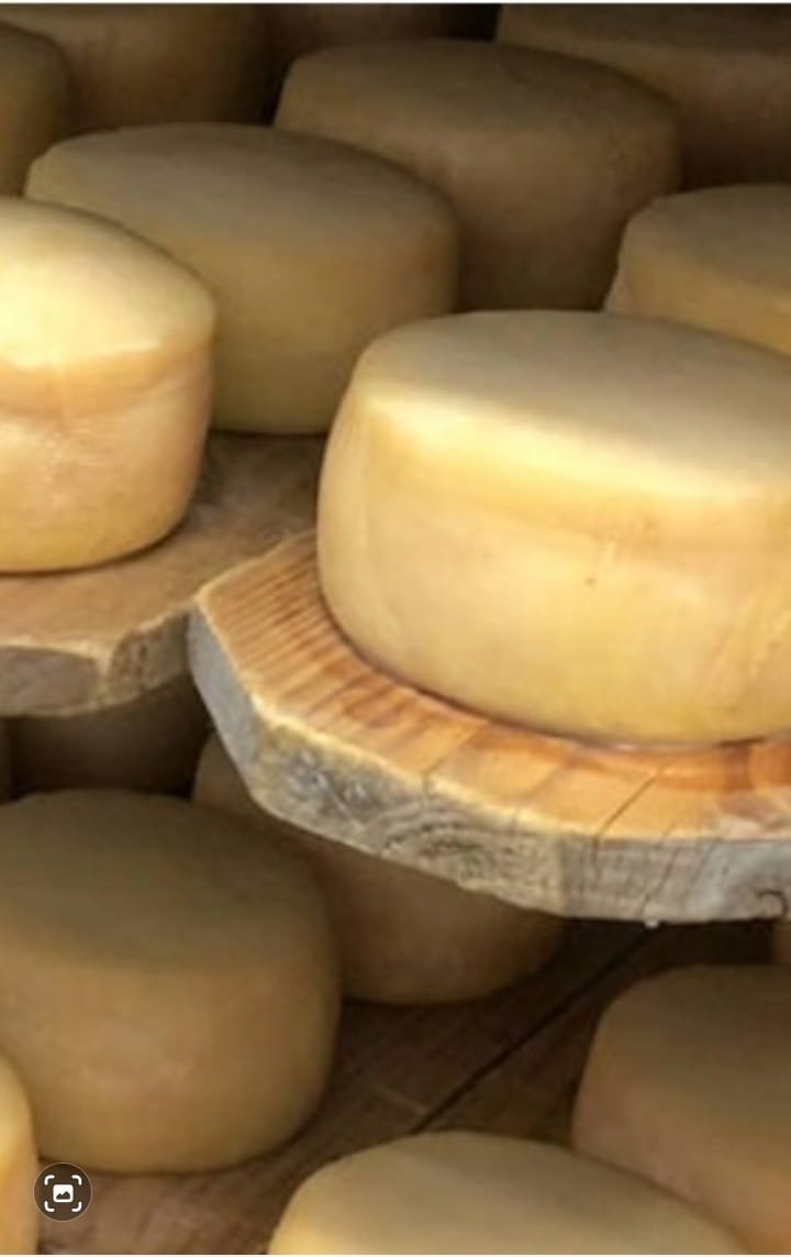 POLLO Y PASTA Pollo y Pasta 