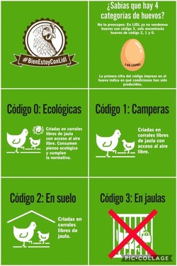 Granja Don Cosme Codigos