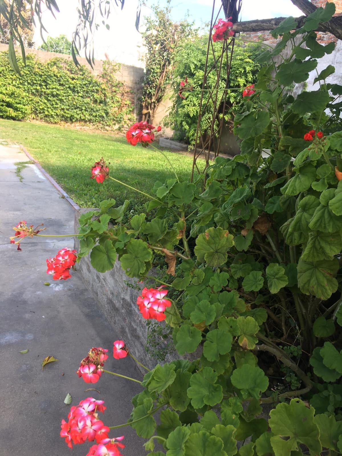 HOSTAL LA VIDA ES BELLA  