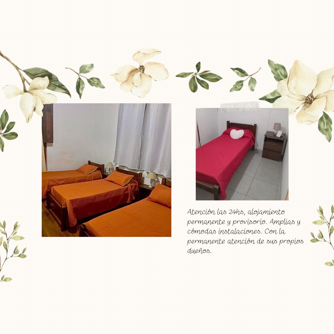 HOSTAL LA VIDA ES BELLA  