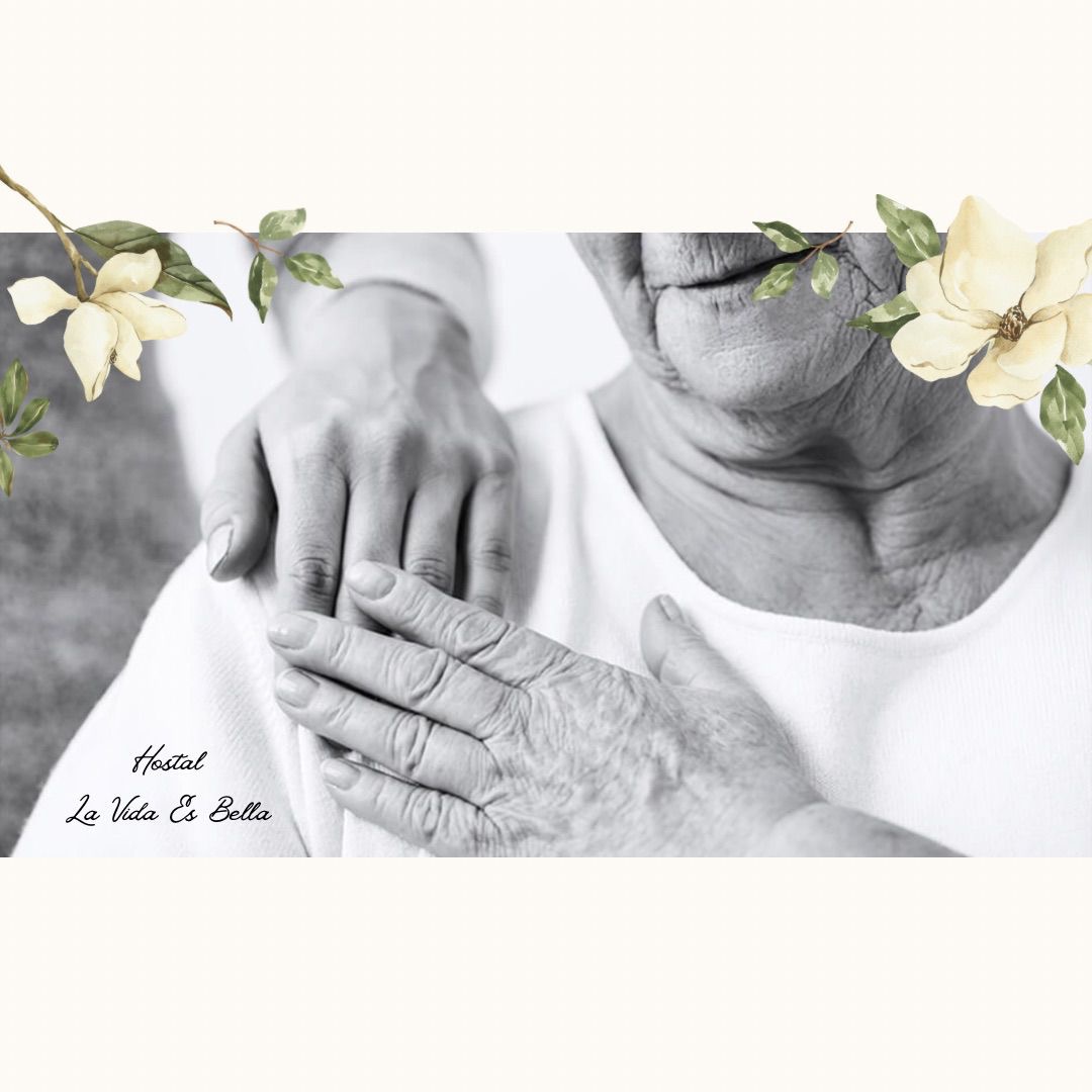 HOSTAL LA VIDA ES BELLA  
