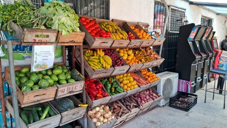 EL RANCHO DE LOS NIETITOS 