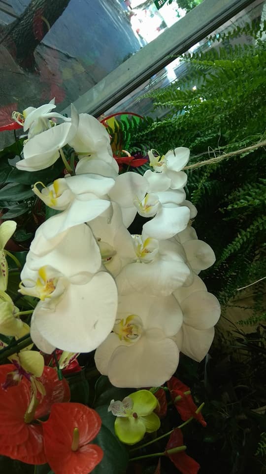 FLORERIA LA CATEDRAL  