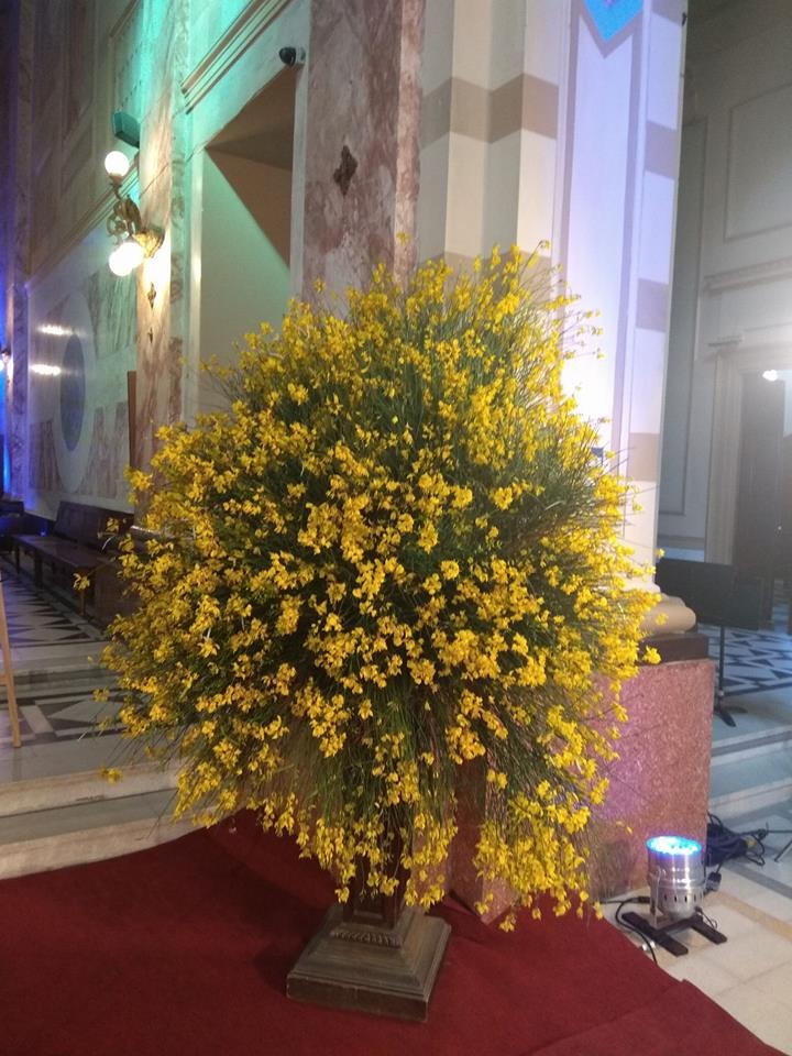 FLORERIA LA CATEDRAL  