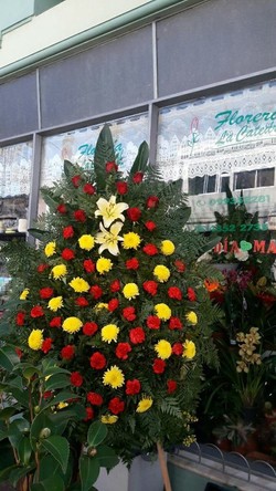 FLORERIA LA CATEDRAL 