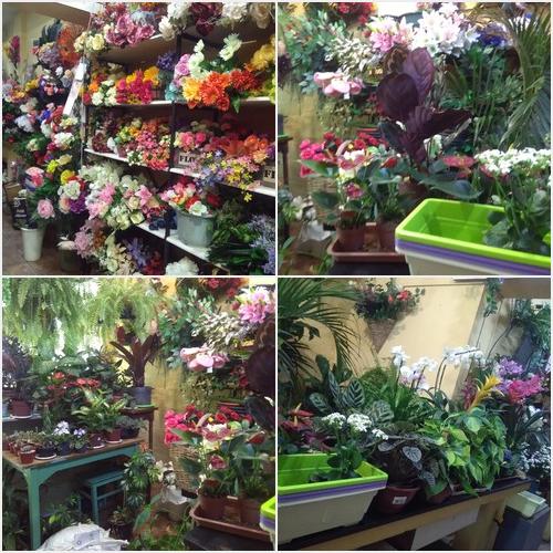 FLORERIA LA CATEDRAL FLORERIA LA CATEDRAL