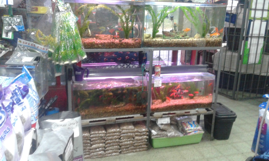 VETERINARIA SANTA CLARA  