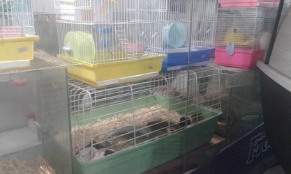 VETERINARIA SANTA CLARA 