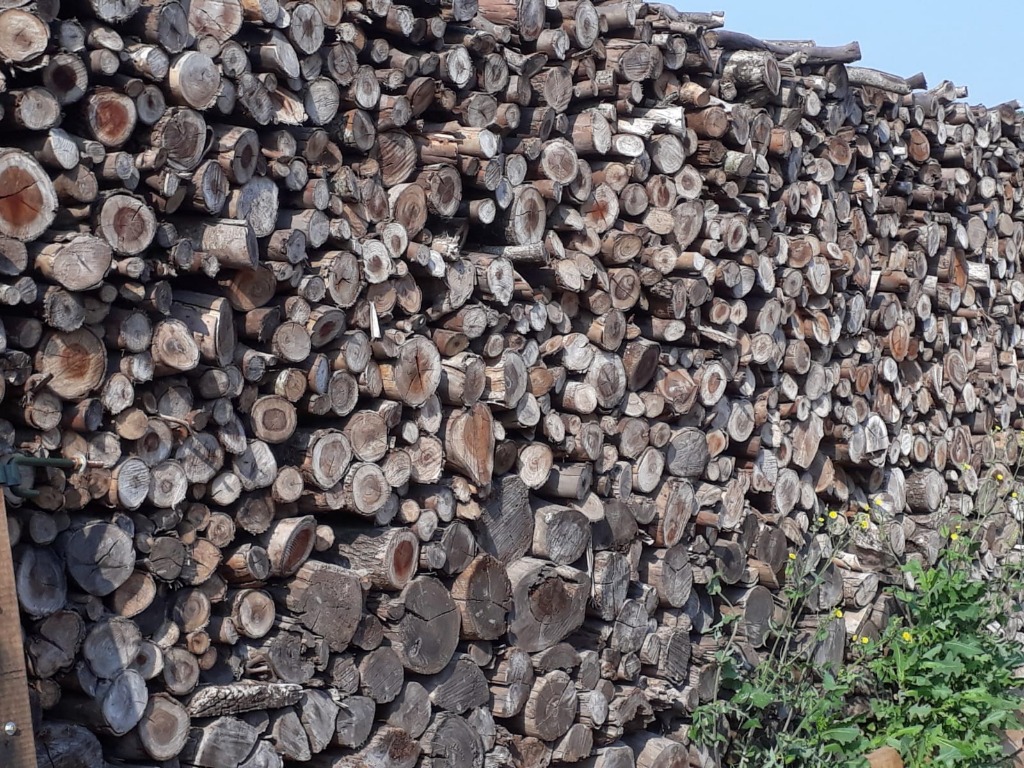 ASERRADERO TODO LEÑA  