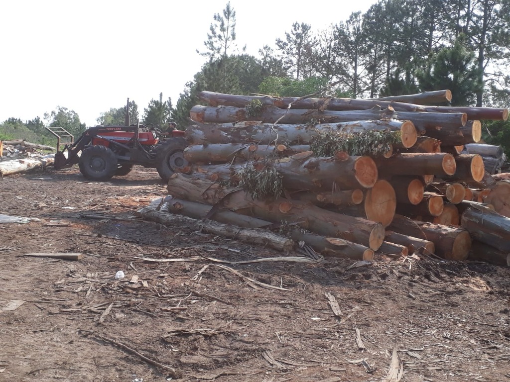 ASERRADERO TODO LEÑA  