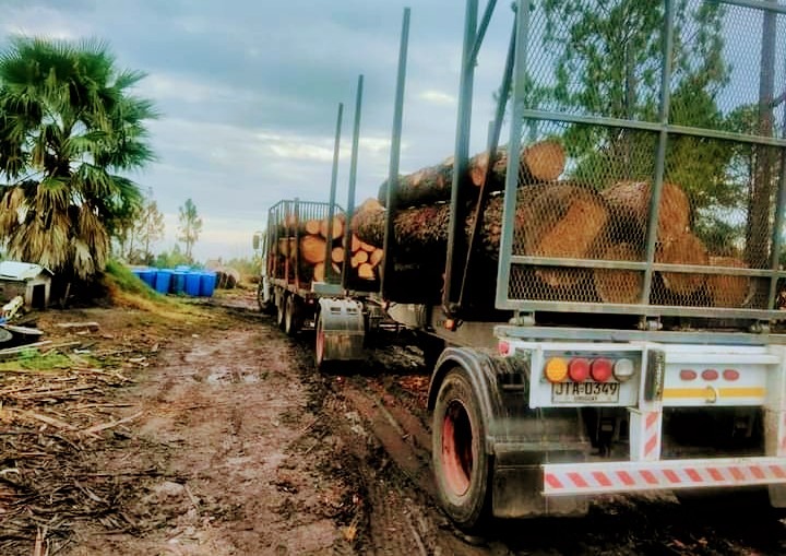 ASERRADERO TODO LEÑA  