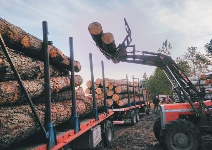 ASERRADERO TODO LEÑA  