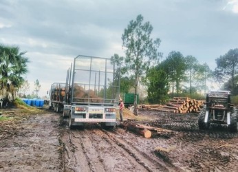 ASERRADERO TODO LEÑA 