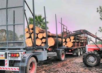 ASERRADERO TODO LEÑA 