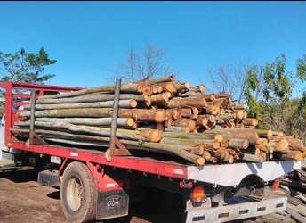 ASERRADERO TODO LEÑA 