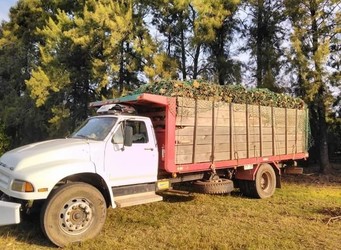 ASERRADERO TODO LEÑA 