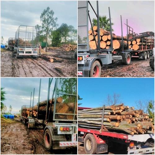 Aserradero Todo Leña ASERRADERO TODO LEÑA