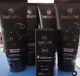 CLINICA VETERINARIA MIMA 2 