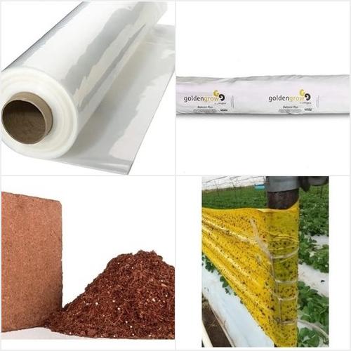 SUEÑO DE HORMIGA SUEÑO DE HORMIGA