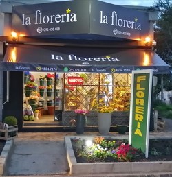 FLORERÍA Y MARMOLERIA BARINDELLI 