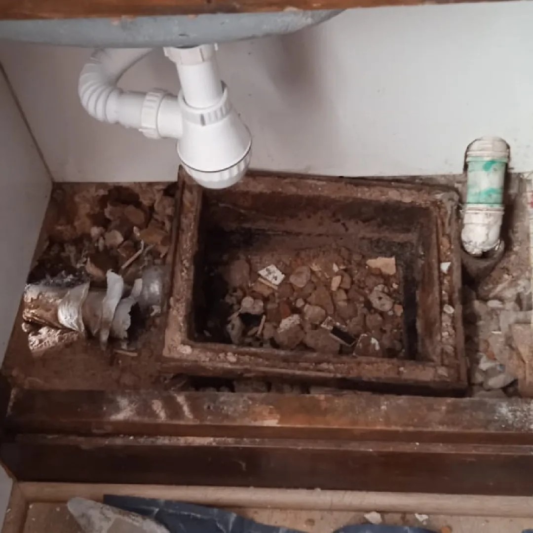 EL ZURDO SERVICIO SANITARIO  