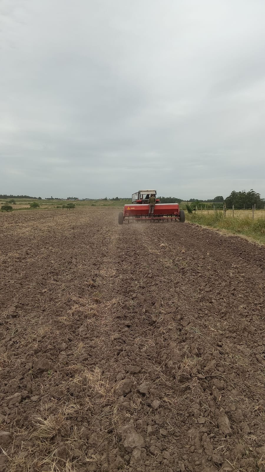 Agroservicios JF Agroservicios JF MOVIMIENTOS TIERRA
SERVICIOS AGROPECUARIOS